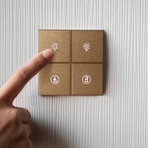 Rosa Metal Touch Switches