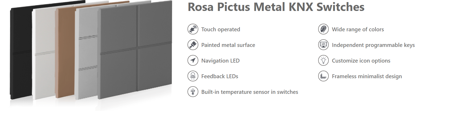 rosa-pictus.png